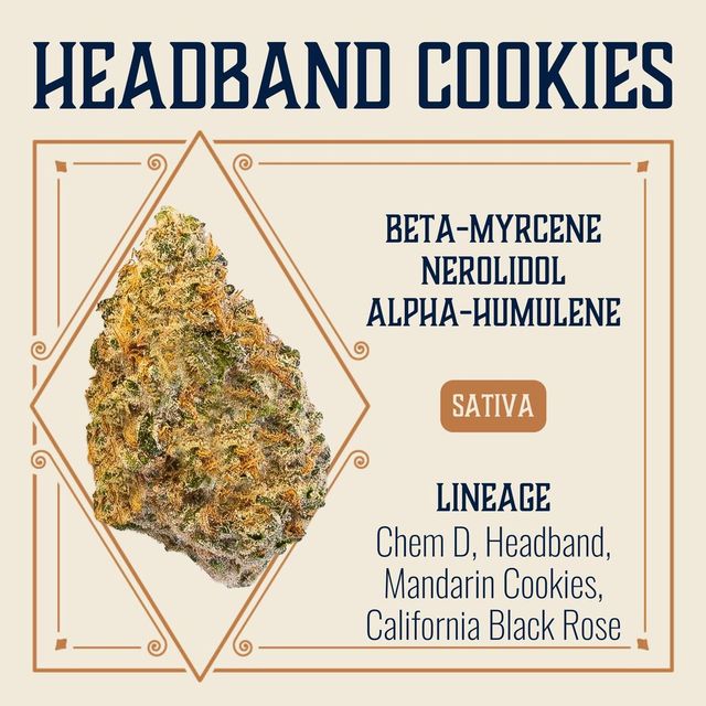 Headband Cookies  Elevate