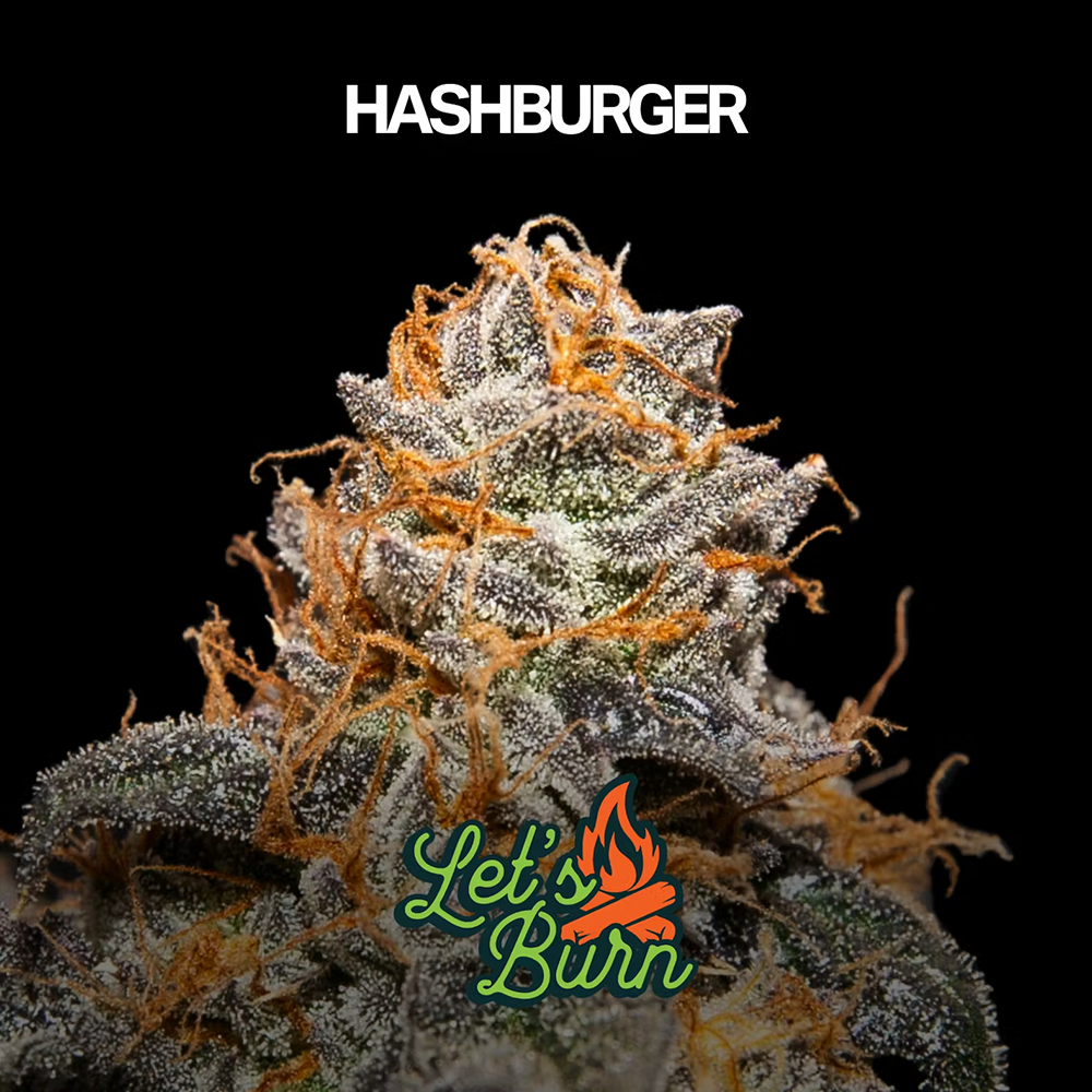 Hash Burger