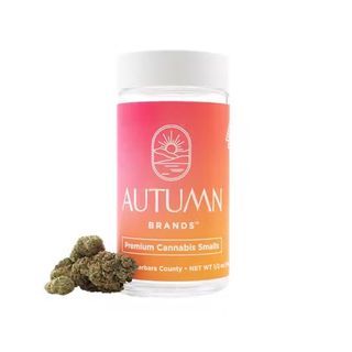 G-Runtz Autumn Brands