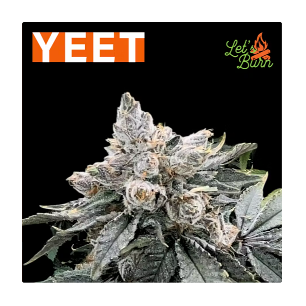 Let's Burn Yeet Flower, 3.5g - image 2