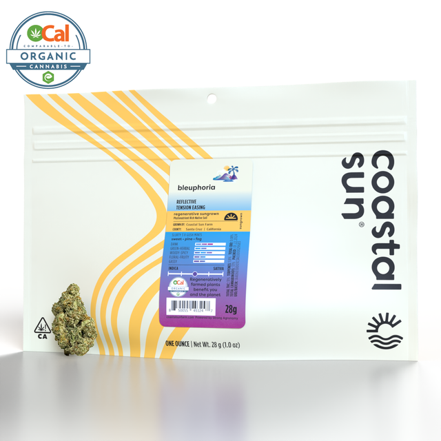 Bleuphoria Coastal Sun