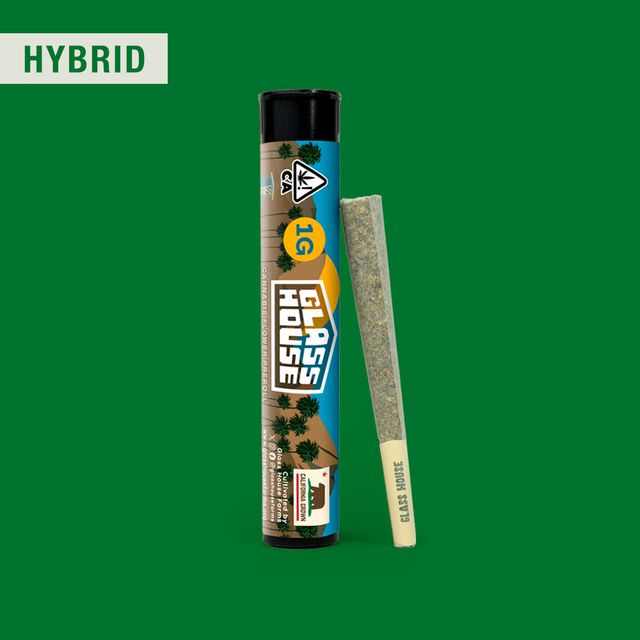 Gelato 41 x Animal Mints Glass House