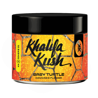 Baby Turtle Khalifa Kush