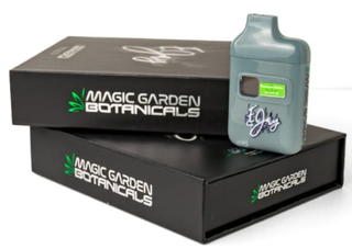 Coconut Horchata | 1g Disposable Dubz Garden