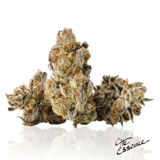 Silver Project (the) Essence