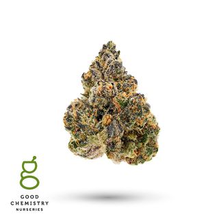 Rainbow Chip Good Chemistry Nurseries