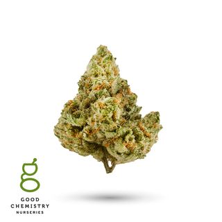 Strawnana Lemon Punch Good Chemistry Nurseries