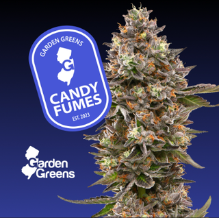 Candy Fumez Big Buds | 7g Garden Greens