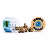 Wakanda Pre-Ground Aims Horticulture