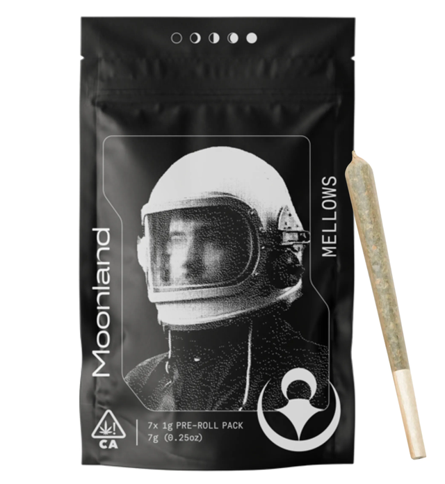 Gelato 41 7-Pack Moonland