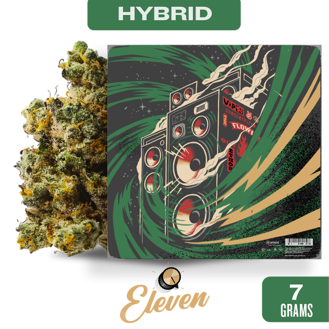 Blue RNTZ Eleven Blue RNTZ Eleven