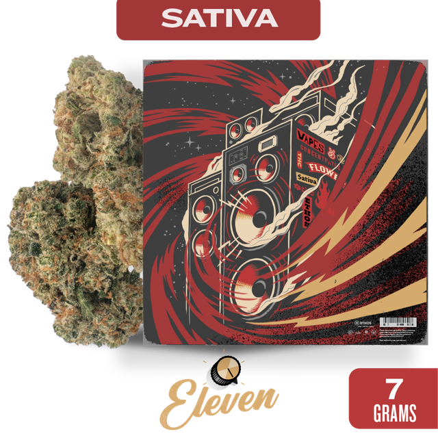 Pura Vida Eleven
