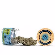 Runtz Aims Horticulture