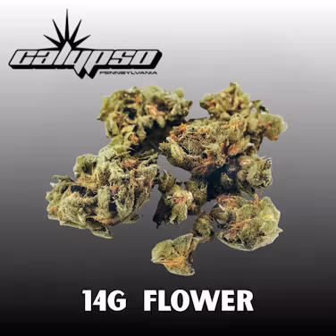 Calypso Biscotti x Kush Mntz Smalls Flower, 14g