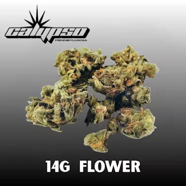 Guzzlerz Calypso
