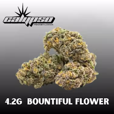 Guzzlerz Calypso Guzzlerz Calypso
