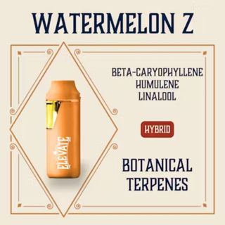 Watermelon Z Min-E-Bar  Elevate