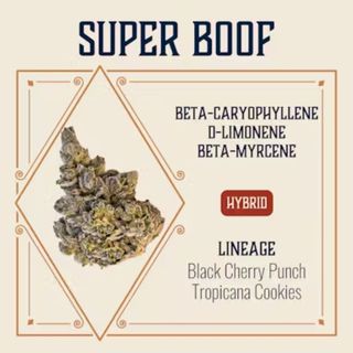 Super Boof Elevate