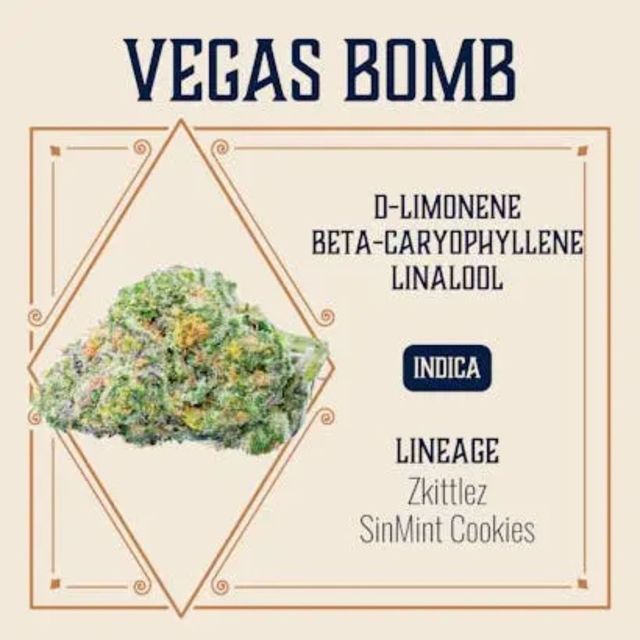 Vegas Bomb Elevate