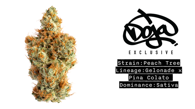 Orange Z Doja Pak