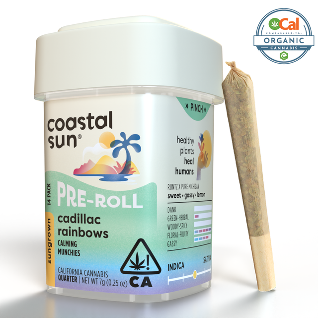 Cadillac Rainbows 14-Pack Coastal Sun