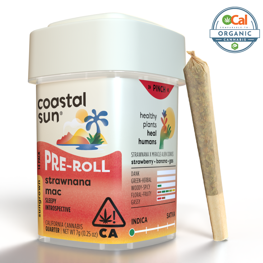Coastal Sun: Strawnana MAC