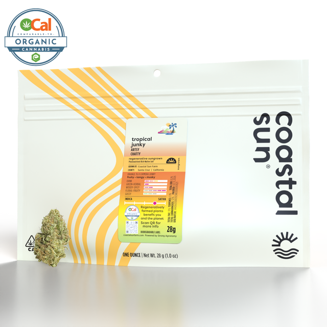 Tropical Junky Coastal Sun