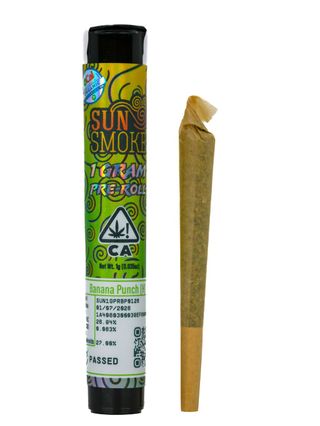 Banana Punch SunSmoke