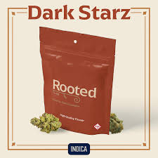 Rooted Pave Flower 28g