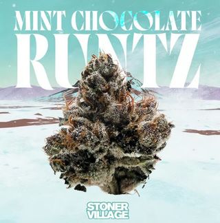 Mint Chocolate Runtz Stoner Village
