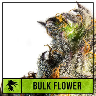 Bubba Fett Natty Rems