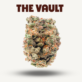Kashmir Kush The Vault