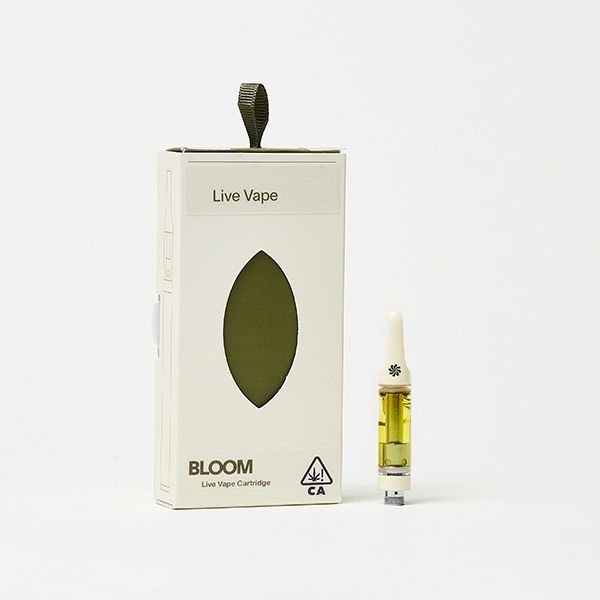 Lemon Creme Classic Bloom