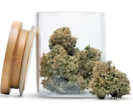 Bubblegum Horchata | 3.5G Flower