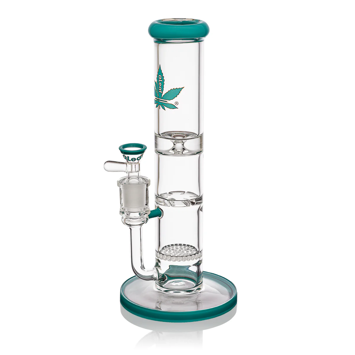 10" Duo Perc Water Pipe