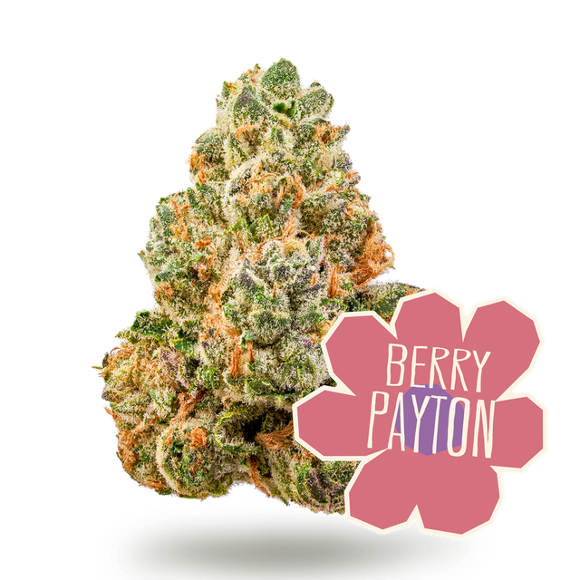 Berry Payton District Cannabis