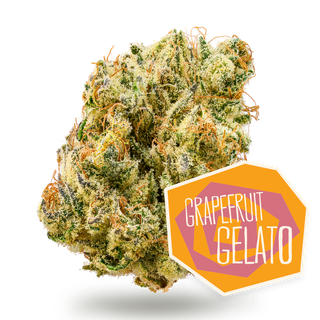 Grapefruit Gelato District Cannabis