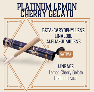 Platinum Lemon Cherry Gelato Elevate