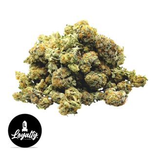 Candi Bezel Loyalty Farms