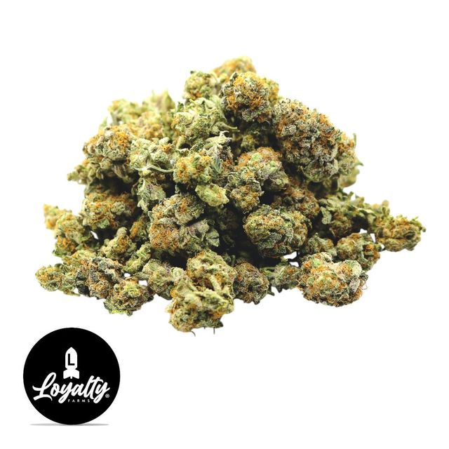 Pink Runtz Loyalty Farms