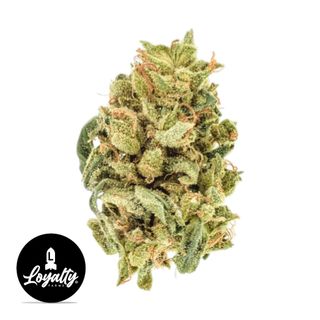 Death By Boof Loyalty Farms