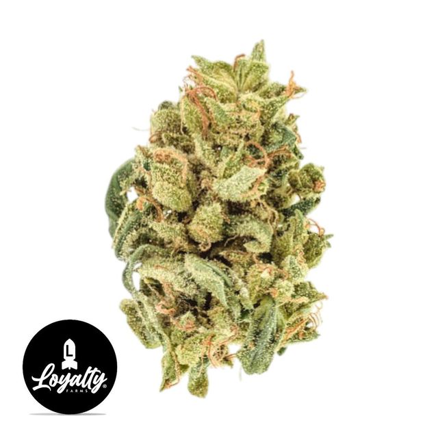 Pink Runtz Loyalty Farms