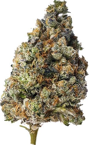 Savvy The Soap Flower, 3.5g - image 2