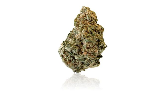 Sunshine OG Savvy Sunshine OG Savvy