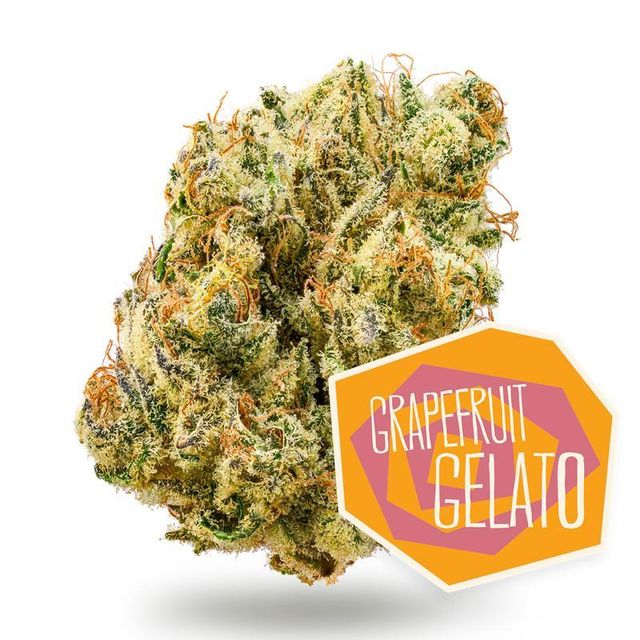 Grapefruit Gelato District Cannabis