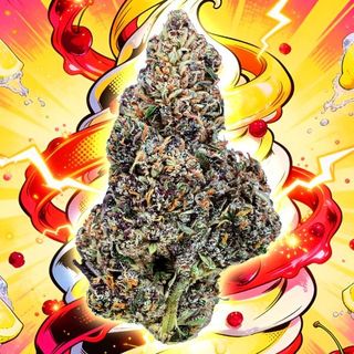 Lemon Cherry Gelato #16 Flora