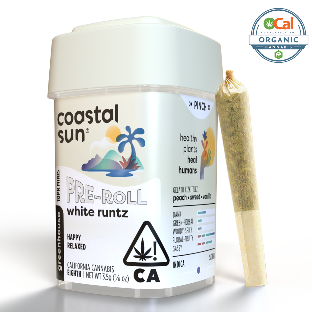 Coastal Sun: White Runtz