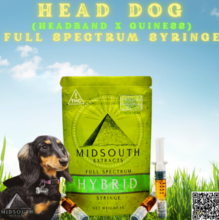 Syringe | Head Dog |  Mid South Extracts