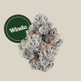 Windu Kind Tree