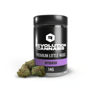 Blueberry Revolution